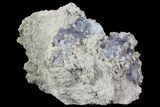 Purple/Gray Fluorite Cluster - Marblehead Quarry Ohio #81189-1